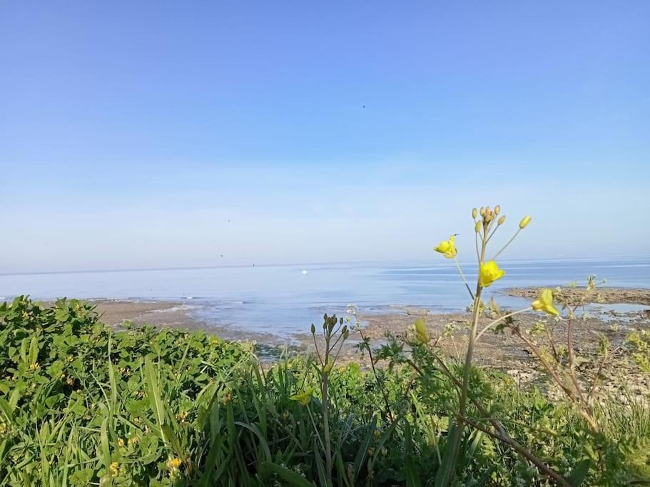 Soleil D'Opale Et Son Grand Jardin Villa Wimereux Esterno foto